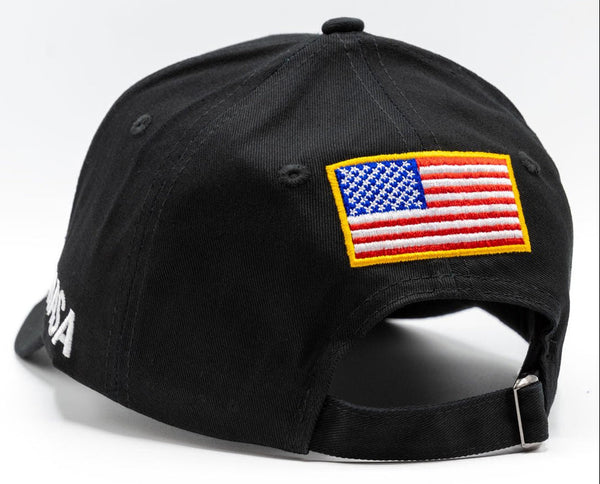 NASA Logo Black Baseball Cap